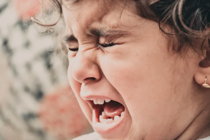 Stop the Fights: Moving Your Child From Play to Homework (and Back) Without Meltdowns
